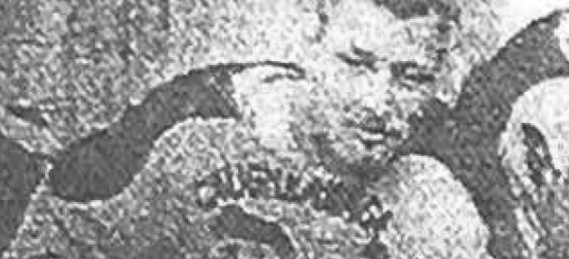 James McComber