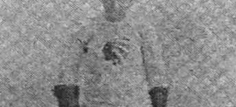 Andrew Martin